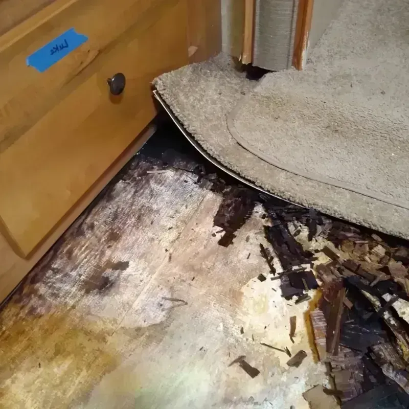 Best Wood Floor Water Damage Service in Poinciana, FL